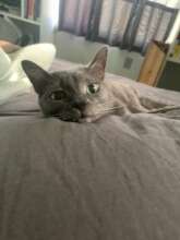 Sweet Princess..so loved by her family is at peace