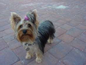 Spice Girl First Months With Us