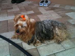 Sugar, my favorite picture