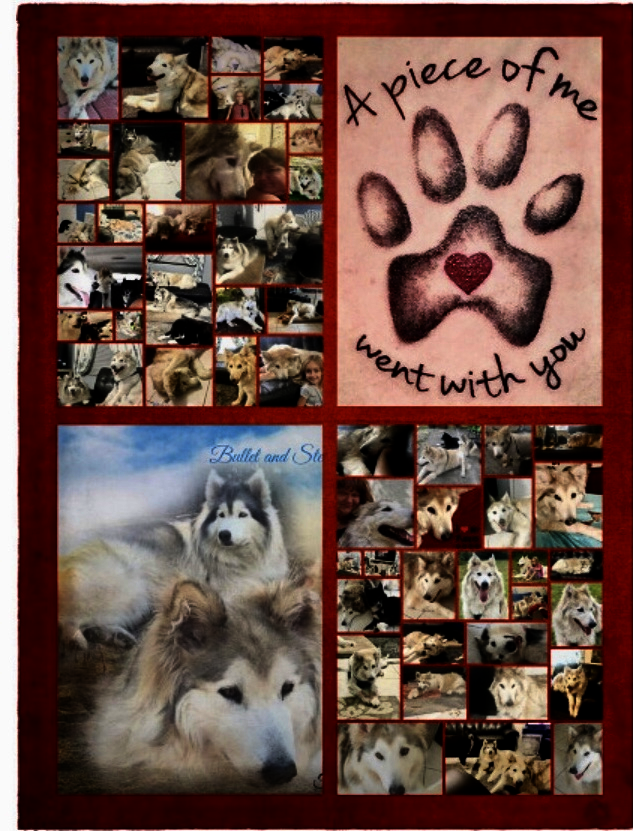 Bullet Sloan was so loved!