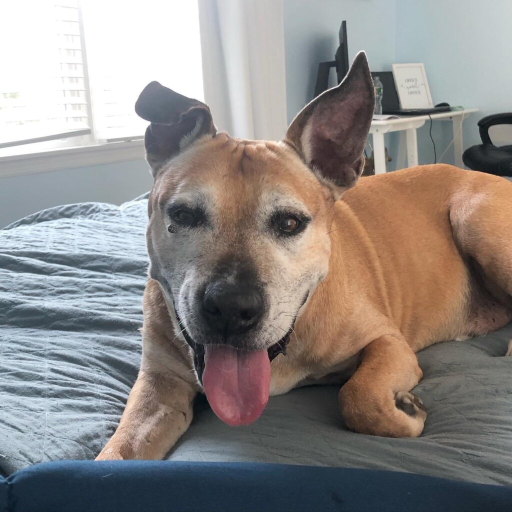 Handsome Bradley is missed so much by his family..