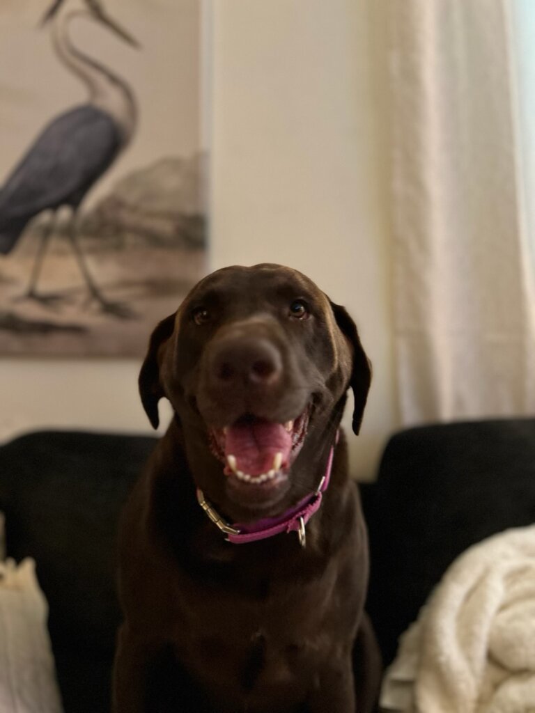 Stella Ireland in her Healthy Days