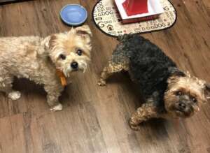 Jack & Kelso are both angels now...