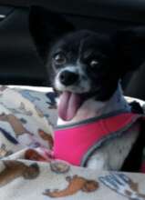 Kammie has left  hole in her Mom's heart....