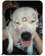 Friday smothered in his Mom's kisses....