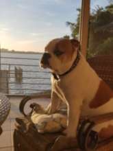 Lennie, so beautiful, I had to share again