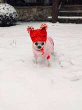 Little Marie Bobe Crossed the Bridge-my heart