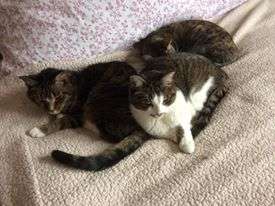 Maxwell and Bandit Solomon...and a new friend