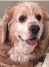 Sweet Brady, such a handsome man....