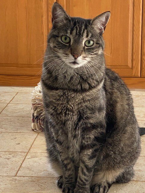 Sweet Olive was loved by her family....