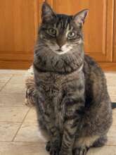 Sweet Olive was loved by her family....