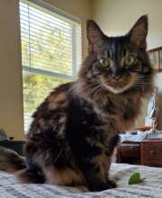 Olive was such a wonderful baby for her family....