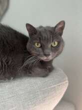 Misty's family is heartbroken without her....