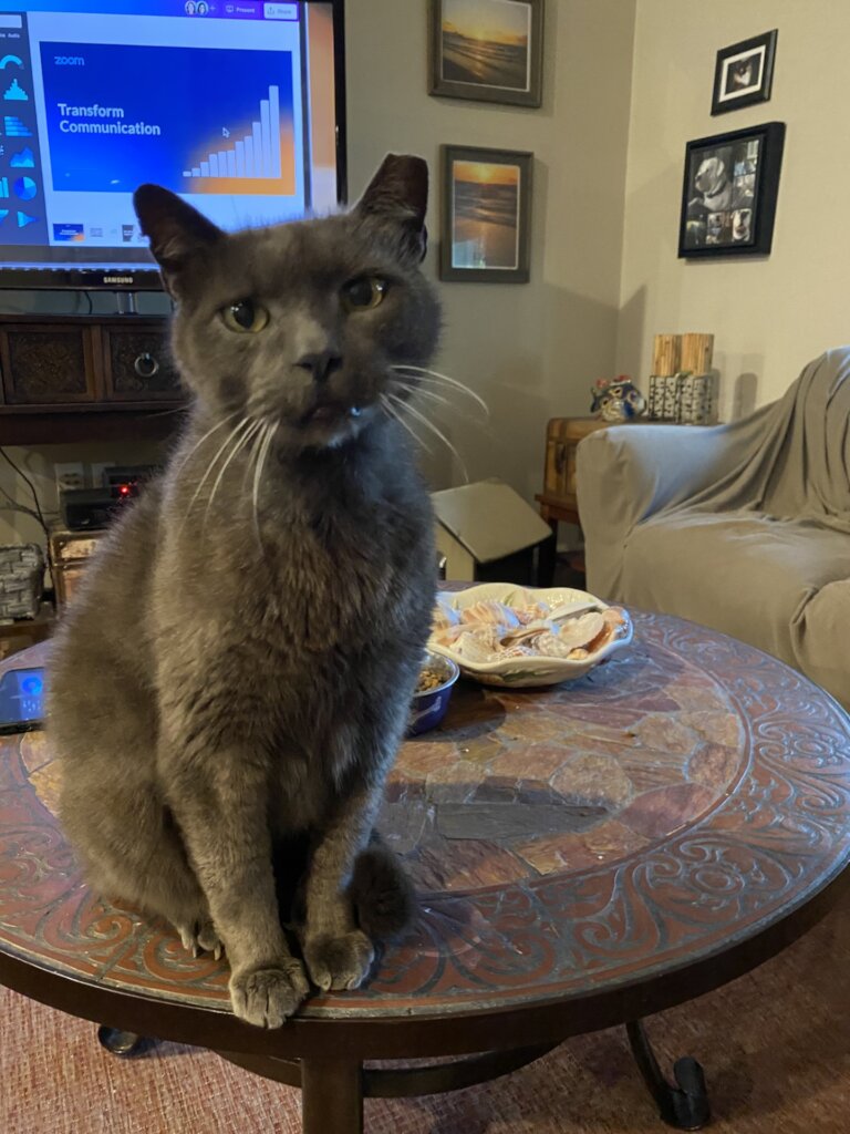 Pony Boy is missed so much by his family...