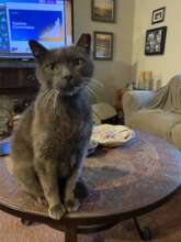 Pony Boy is missed so much by his family...