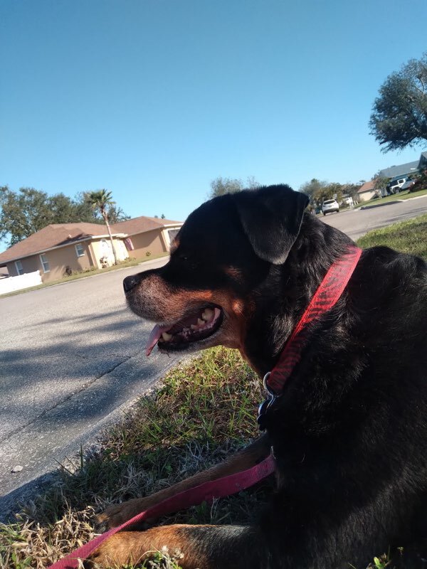 Sweet Remy Maiero..Mommy misses her so much