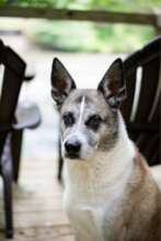Sweet Tatum, always in our hearts!