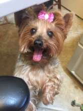 Spice Wanting Treats from Nikki