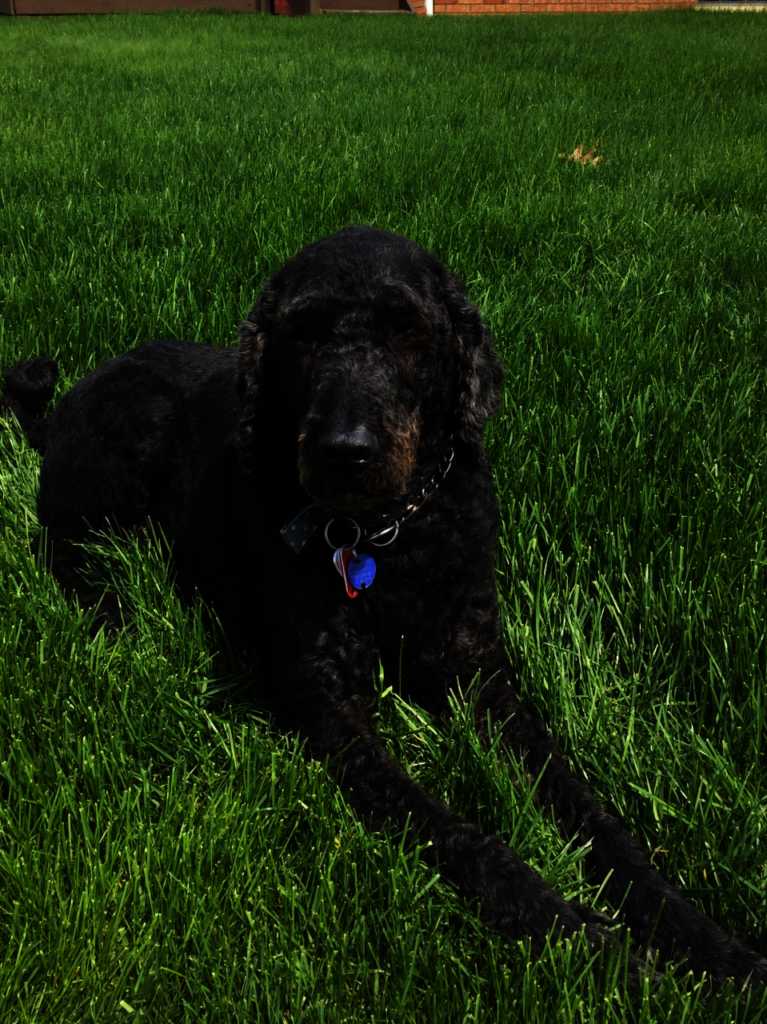 Marley Ferguson in healthier days....