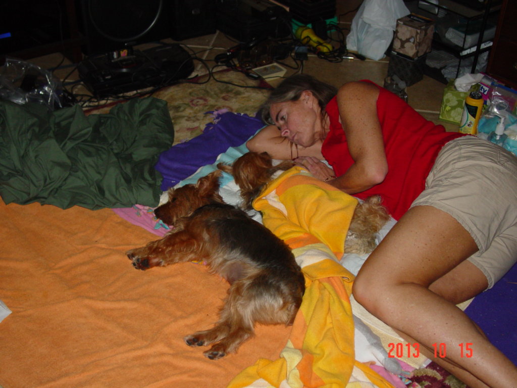 Helping Our Pets Cross the Rainbow Bridge at Home