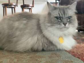 Beautiful Peeka Rodriguez is at the Bridge now....