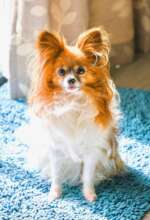 Beautiful Cassia is missed so much by her family