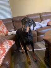 Vinny Spikes is at peace at the Bridge now....