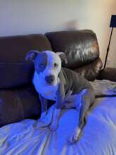 Nijah - his family missing him so much!