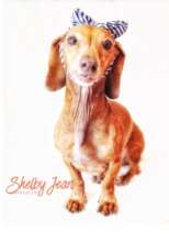 Beautiful Shelby Jean was Daddy's girl