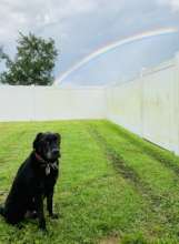 Mitchell on the day of his Rainbow Crossing