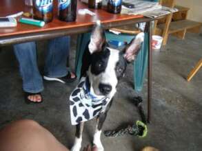 Capone White is at peace at the Bridge....