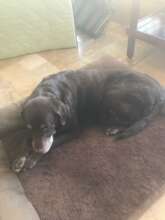 Mila Frank, so beautiful and so loved....