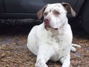 Jesse Cederberg was loved by so many...