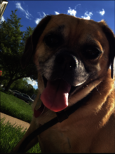 Beautiful Autumn smiling as she did every day....