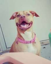 Gorgeous Beyonce Salud Smiling....