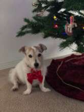 Sweet Jackie Ocasio - her family is heartbroken