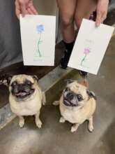 Mona and Peppe Basilone Crossed the Rainbow Bridge