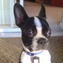 Handsome Rocky Beach is loved by his Mom...