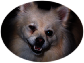 Lucy is with her best friend Dante now