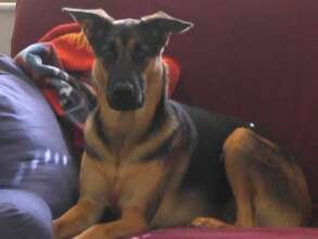 Molly Russell - what a beautiful girl she is....