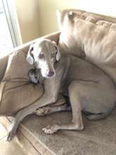 Handsome Mason Brodsky was loved so much