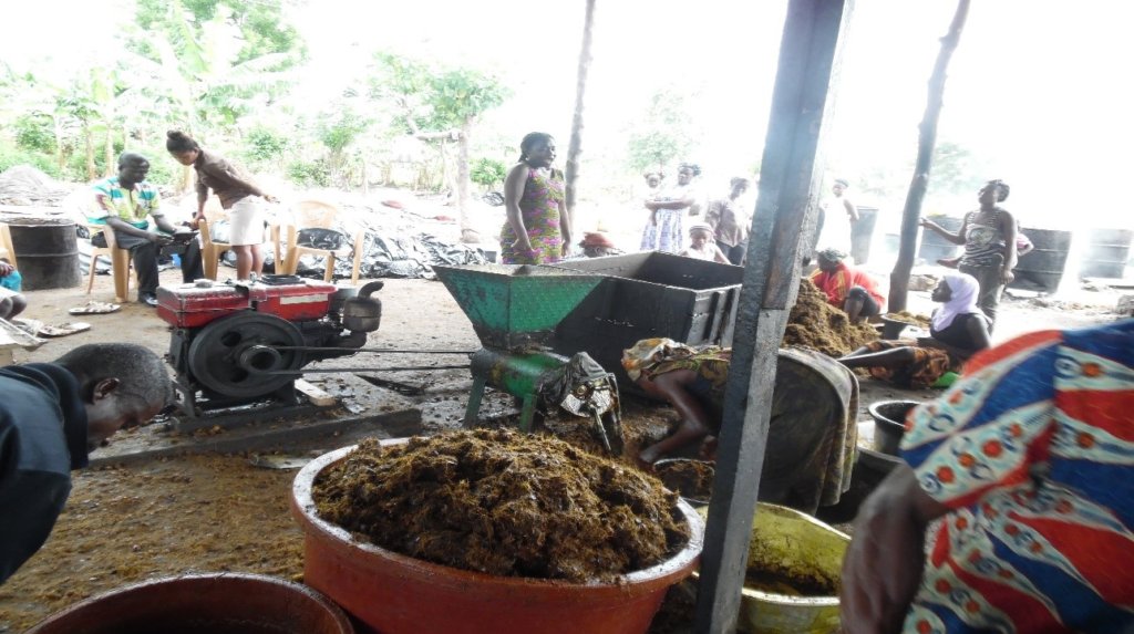 Create Employment for 40 Mothers in Rural Ghana