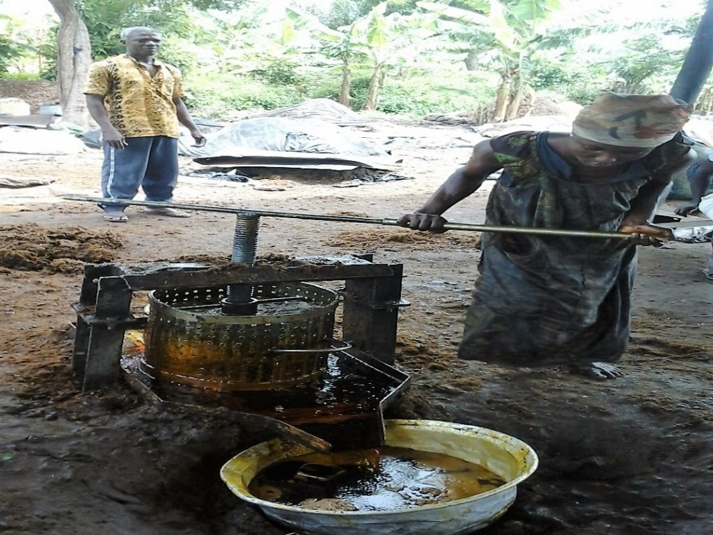 Create Employment for 40 Mothers in Rural Ghana