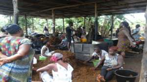 Women processing palm oil