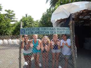 Our turtle hatchery