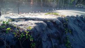 whats left of the beach in front of the hatchery.