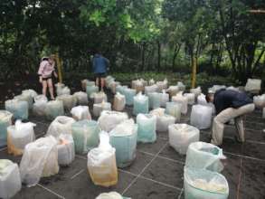 Our nearly full hatchery!