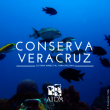 Protect Veracruz Reef System
