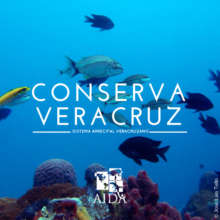 AIDA's public campaign to protect Veracruz