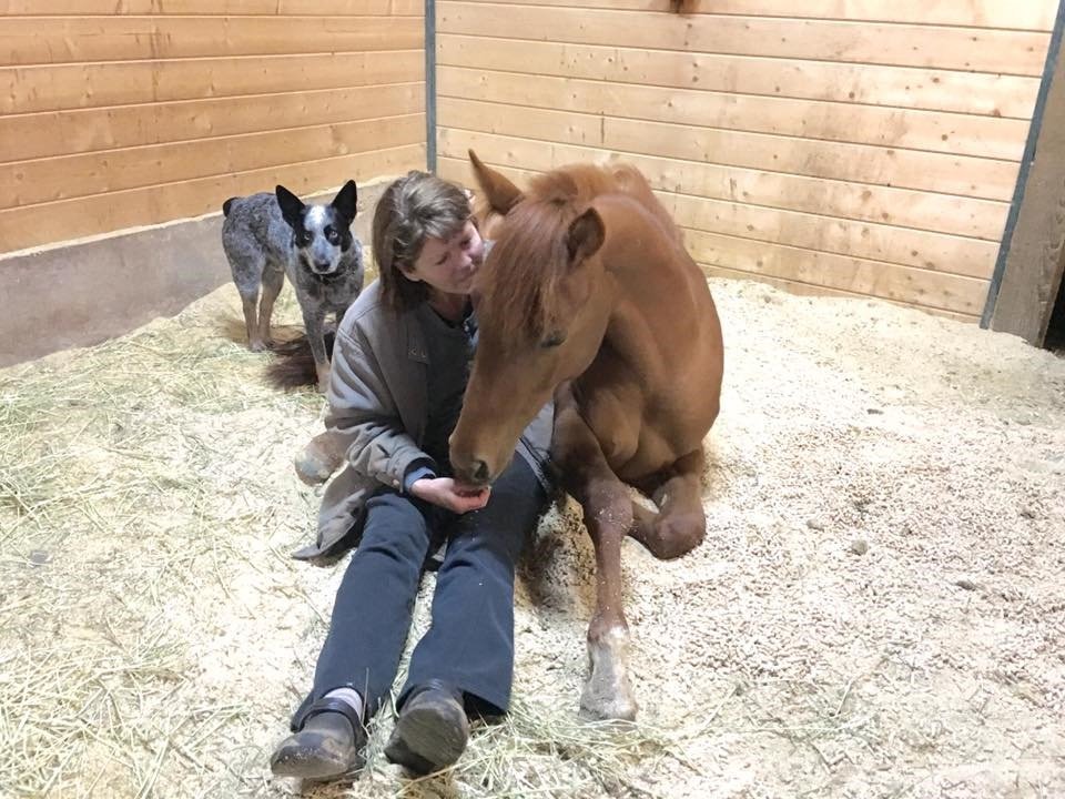 Sponsor Stevie Nicks!